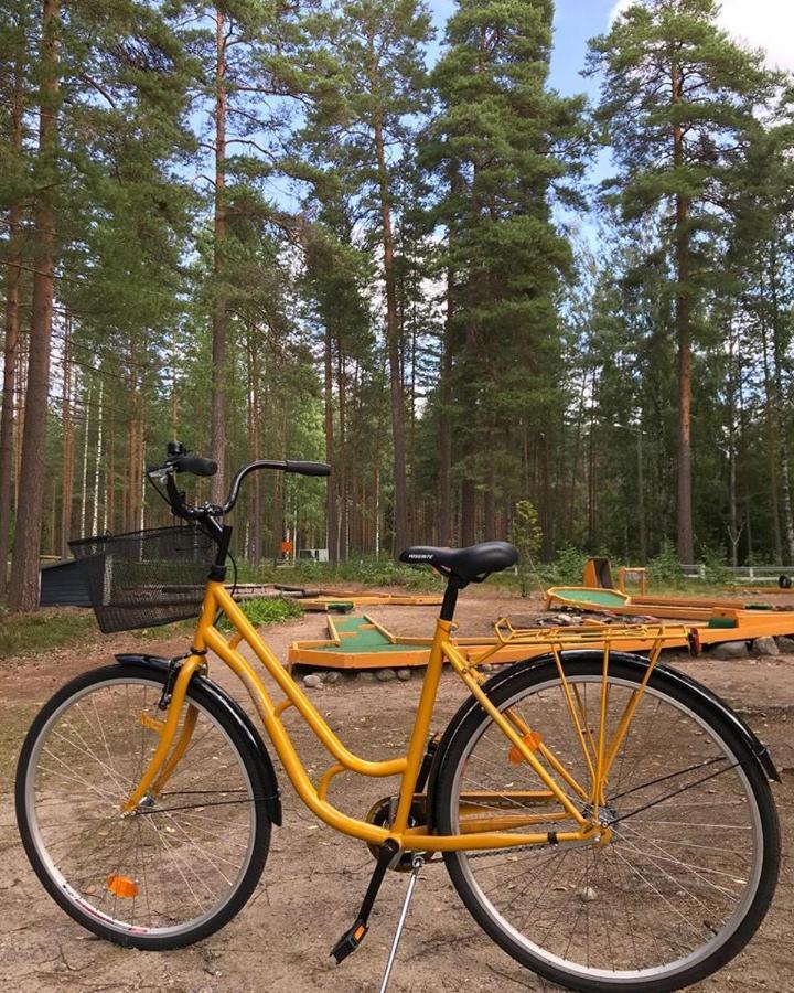 Koskenselkae Camping Пуумала Екстериор снимка